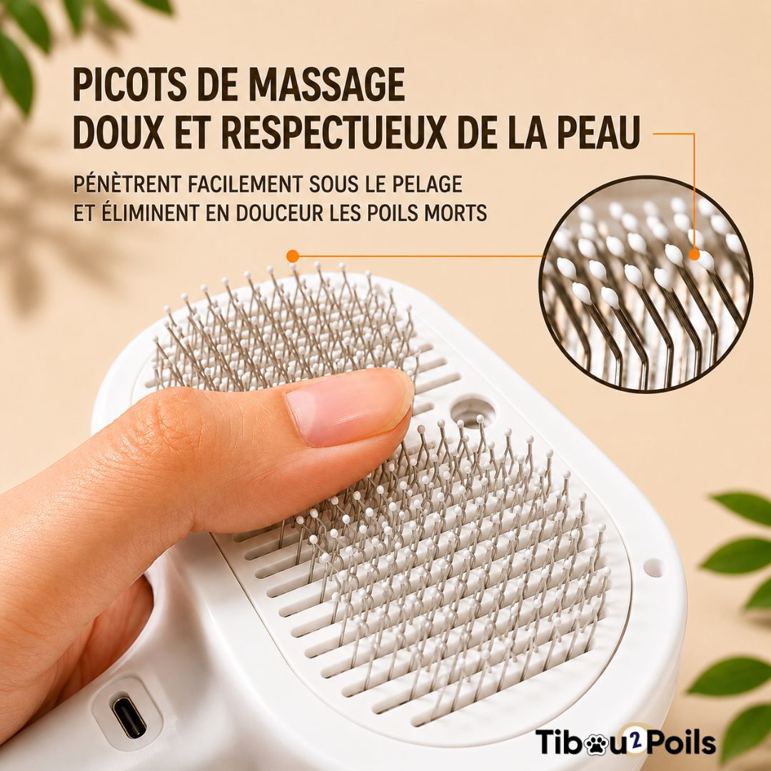 Brosse Ronron / N°1 Des Maitres Attentionnés
